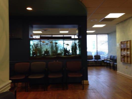 Pediatric & Adolescent Associates