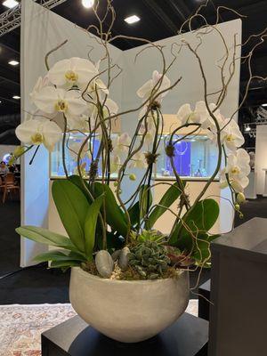 French Florist-North Scottsdale