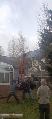 Visentin Yard & Tree Maintenance