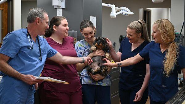 Forest Lakes Animal Clinic