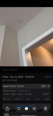 Chicora Long Term Rentals