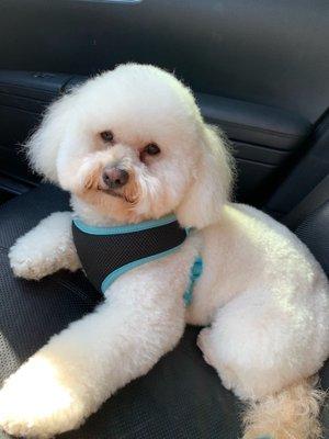 Jackson's Place Unleashed Pet Resort