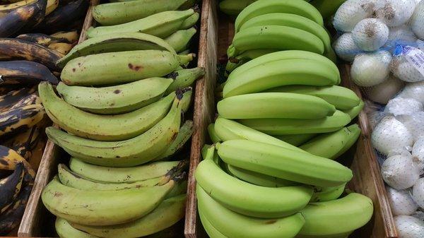 All kinds of latin produce