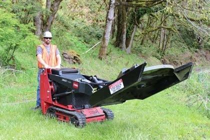 Mangold Tree Service