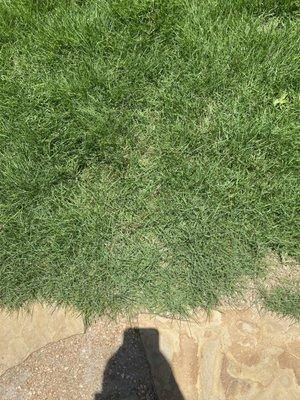 LCE Landscaping and Design