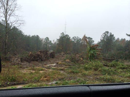 Welch and Son Land Development