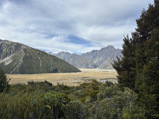 Terrain Acupuncture and Health Counseling