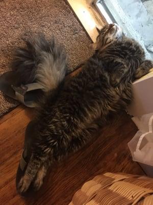 This guy is still alive thanks to BP