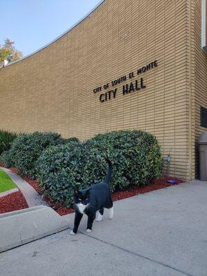 City of South El Monte