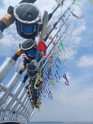 Chesapeake Bay Sport Fishing