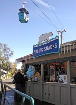 Right under the Skyfari ride