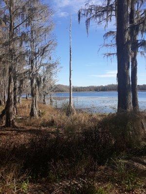 Country Rivers Realty