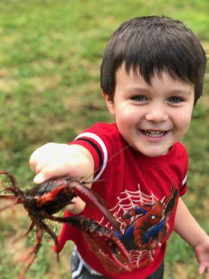 Our Little Red School House