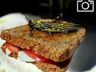 Lindbergh School Manteca Adult School