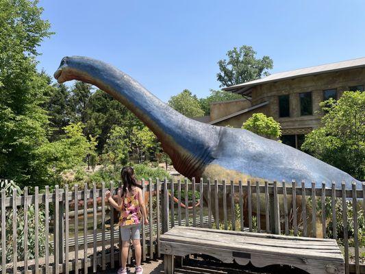 Dinosaur part of the zoo was cool!