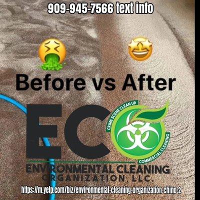 Environmental Cleaning Organization