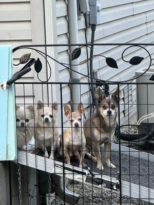 Fry Creek Animal Clinic