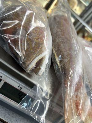 Wrege's Fish Company