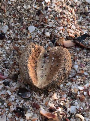 Zapata Private Wealth Group