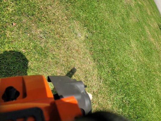 Double Trouble Lawn Care