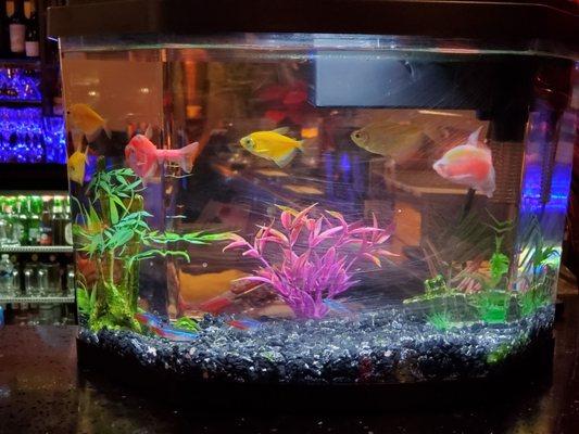 English Spanish mobile notary