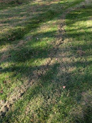 A 1 Landscape & Design