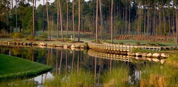 Lion's Paw Golf Links