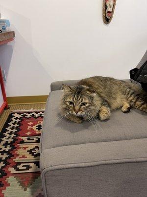 Sharma-Crawford Attorneys at Law