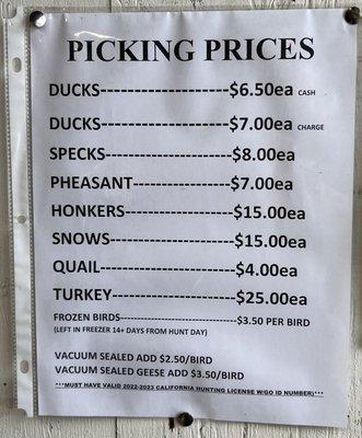 Pacific Extreme Sports