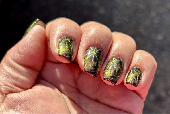 Cat eye flowers pattern in the sun.