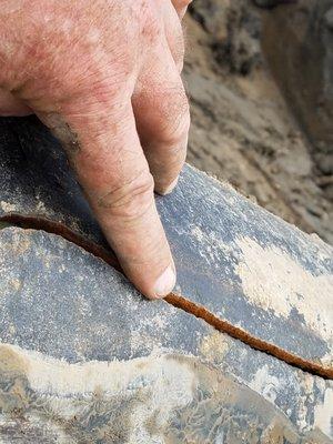 Professional Plumbing