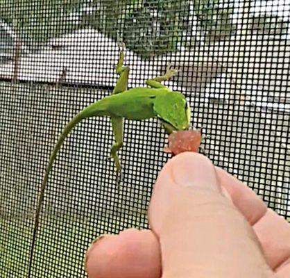 Unitarian Universalist Church In the Pines