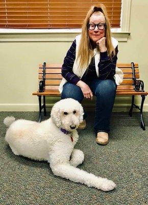 Dog Groomers of Hernando