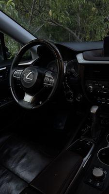 Blackwolf Car Detail