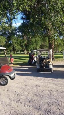 Muleshoe Golf & Country Club