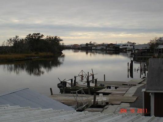 view from screened porch