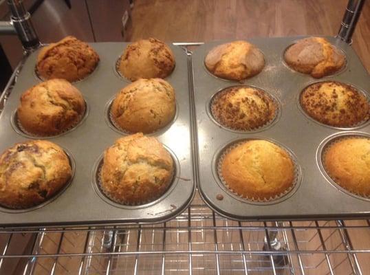 Fresh Muffins