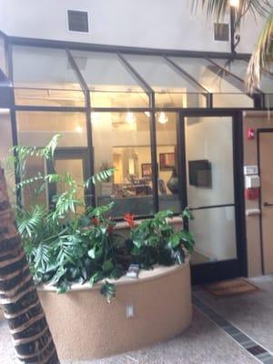 Kyle Van Brocklin DMD MS