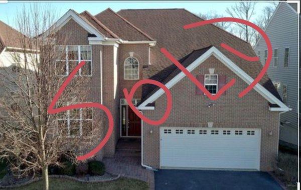 Dania Polanco - Century 21 Real Estate