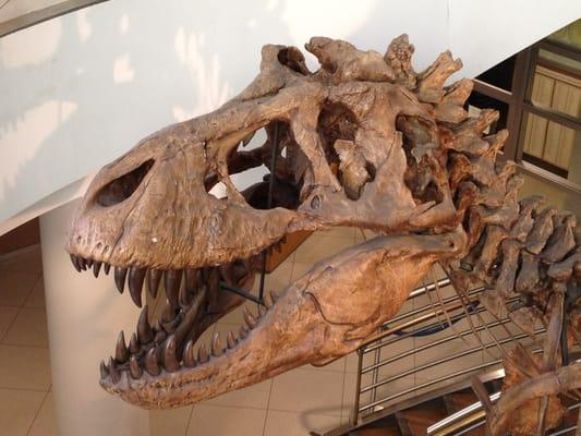 VLSB: Marian Koshland Bioscience and Natural Resources Library