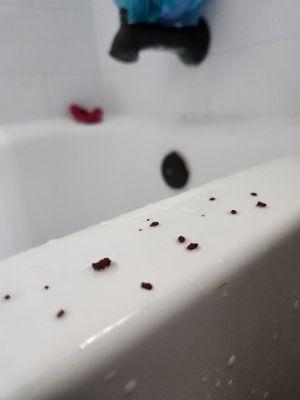 Metal corrosion! After Technician supposedly fixed our hot water not working, still could not be used after finding metal in my hair.