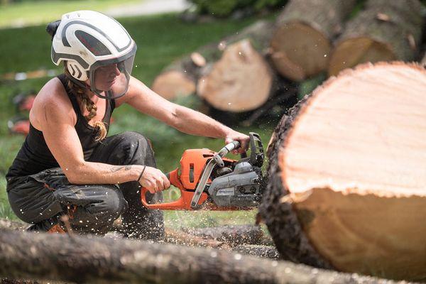 Foxfire Tree Care