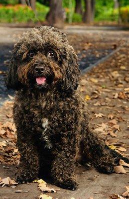 Errol Higgins Photography