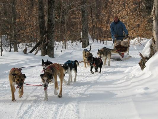 Eden Dog Sledding