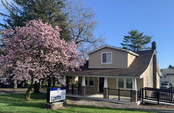 Blue Collar Back Office