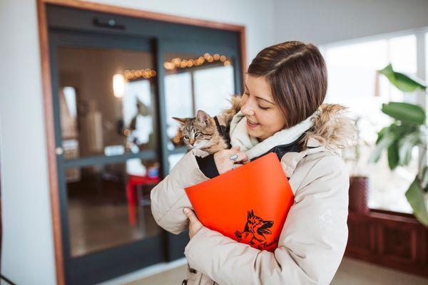 The Babinski Foundation