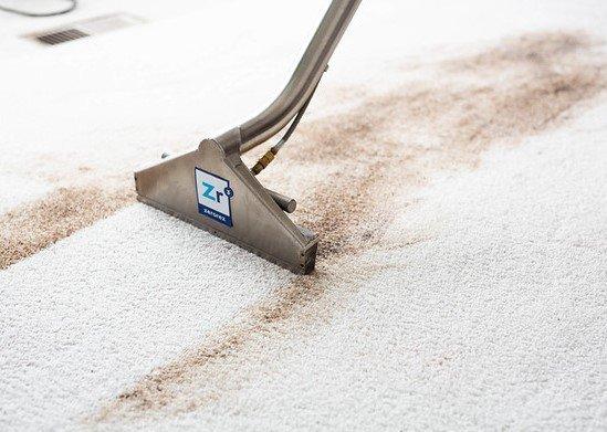 Zerorez Carpet Cleaning Orlando
