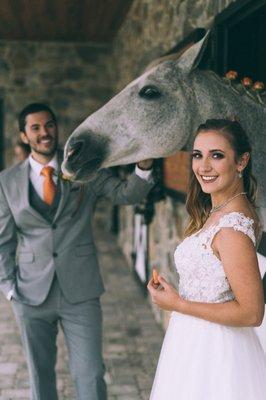 Stables of Rolling Ridge LLC