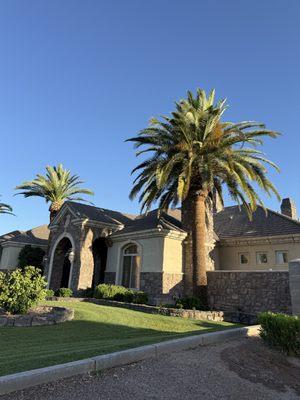 Mendez Yard Cleaner And Landscaping