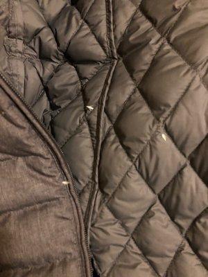 Just a random photo of 3 poking through at this point